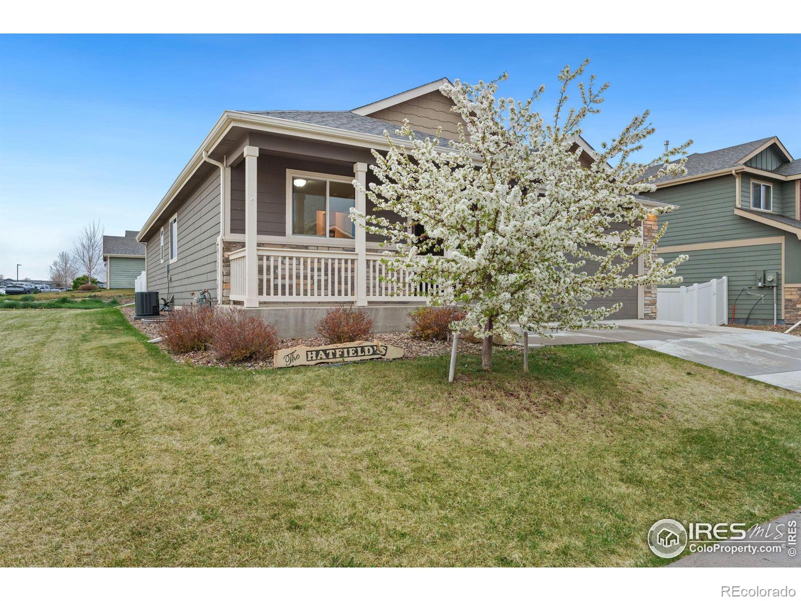 MLS Image #3 for 218  castle drive,severance, Colorado