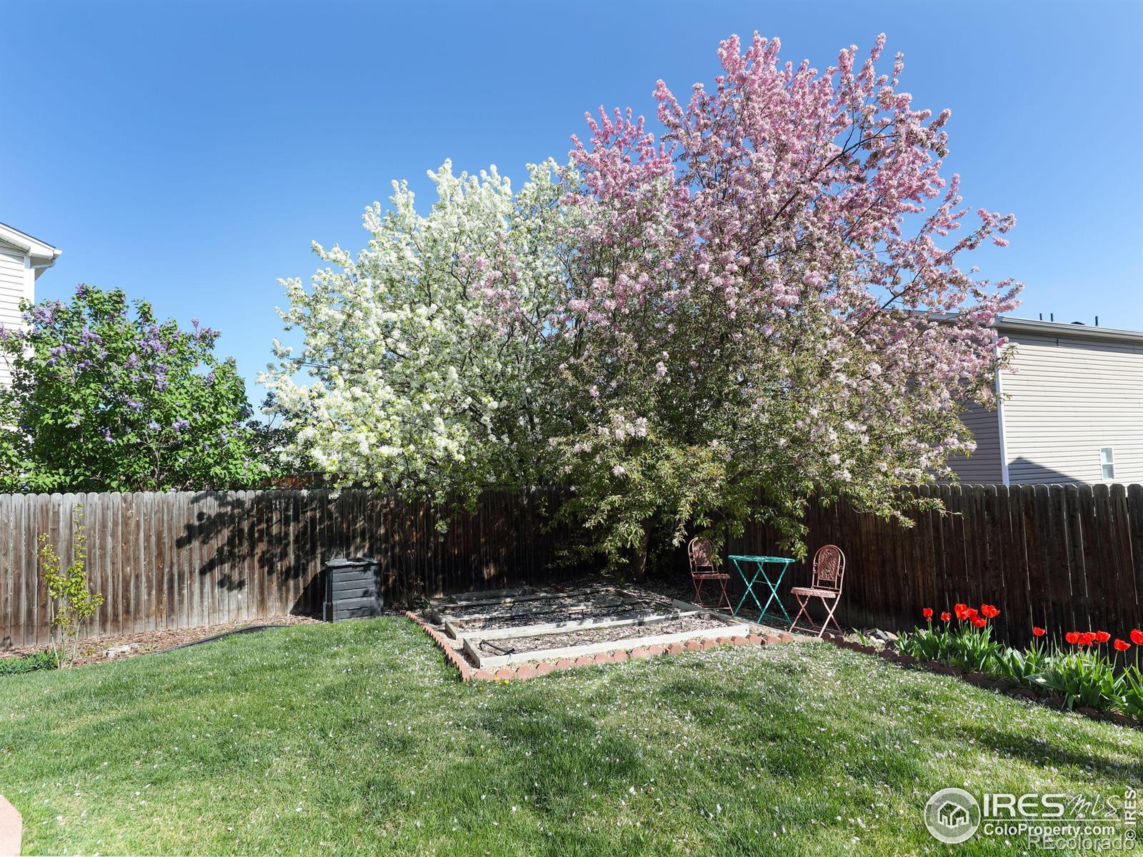 MLS Image #27 for 1324  trout creek place,longmont, Colorado