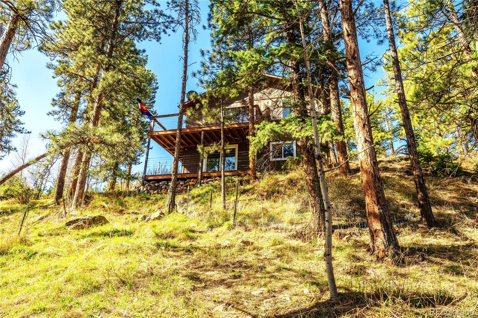 MLS Image #4 for 239  catamount ridge road,bailey, Colorado