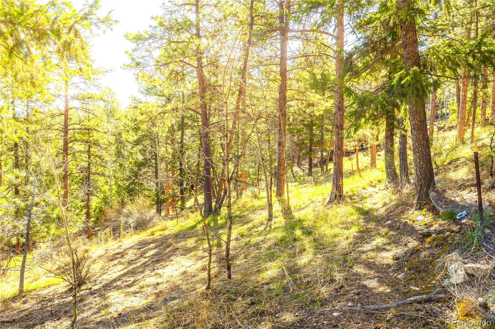 MLS Image #5 for 239  catamount ridge road,bailey, Colorado