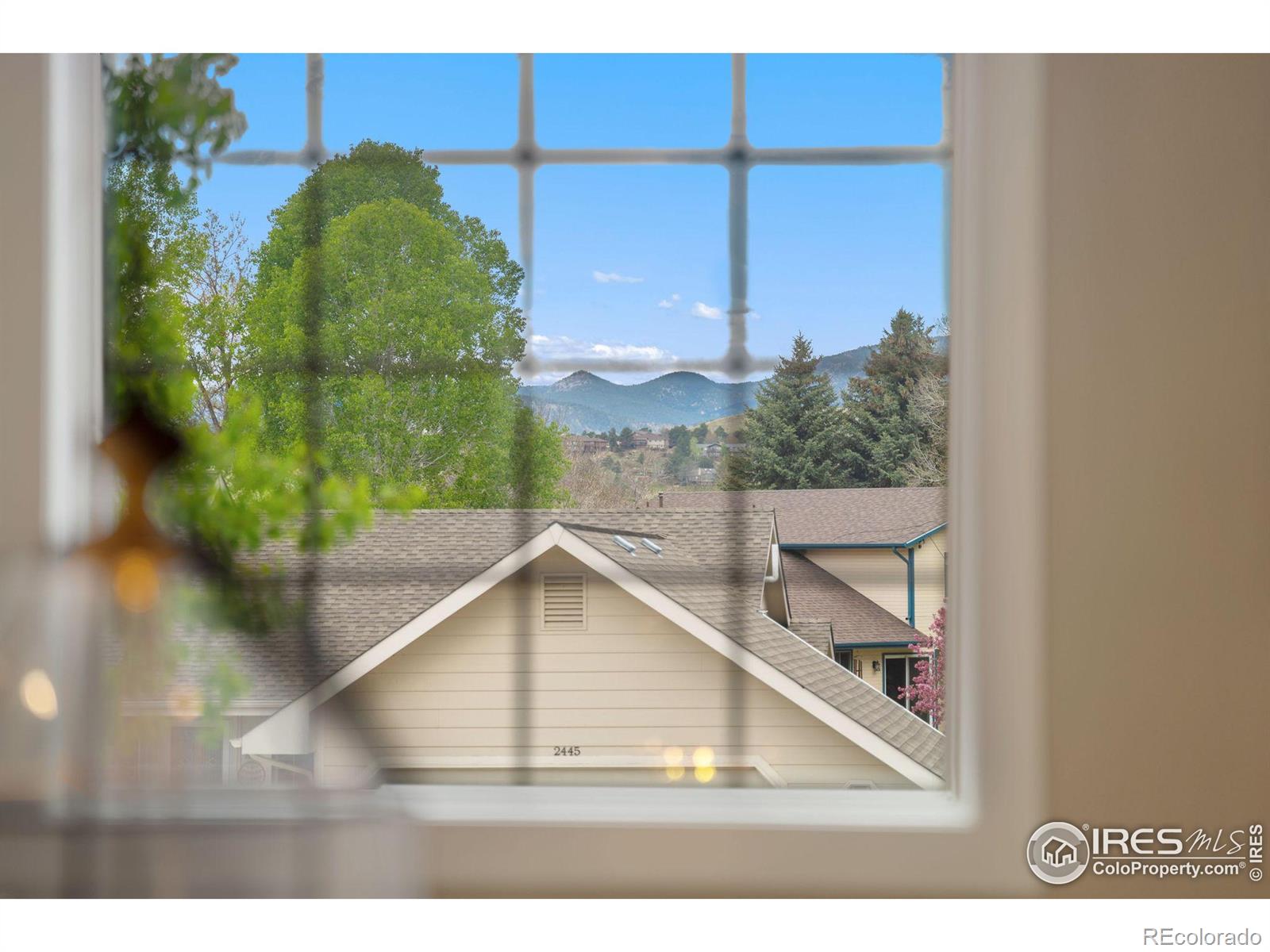 MLS Image #24 for 2444  mehaffey drive,loveland, Colorado