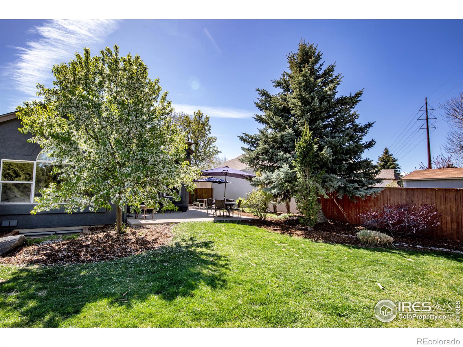 MLS Image #5 for 740  club circle,louisville, Colorado