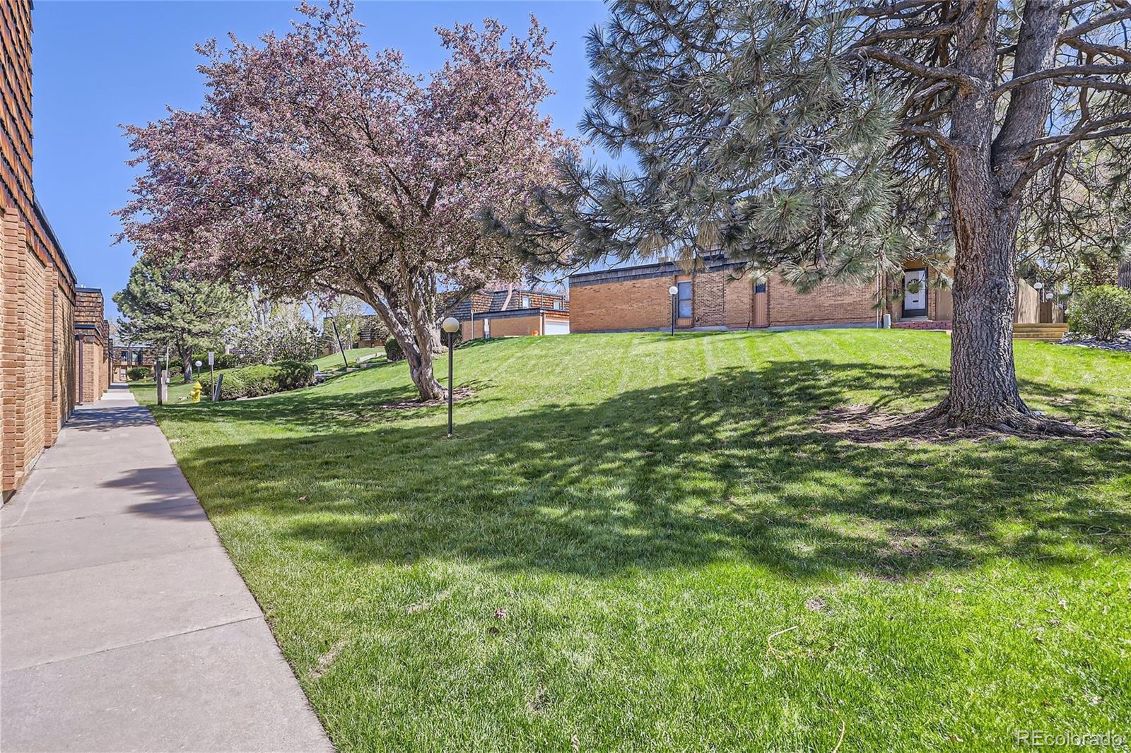 MLS Image #22 for 6464  wright street ,arvada, Colorado