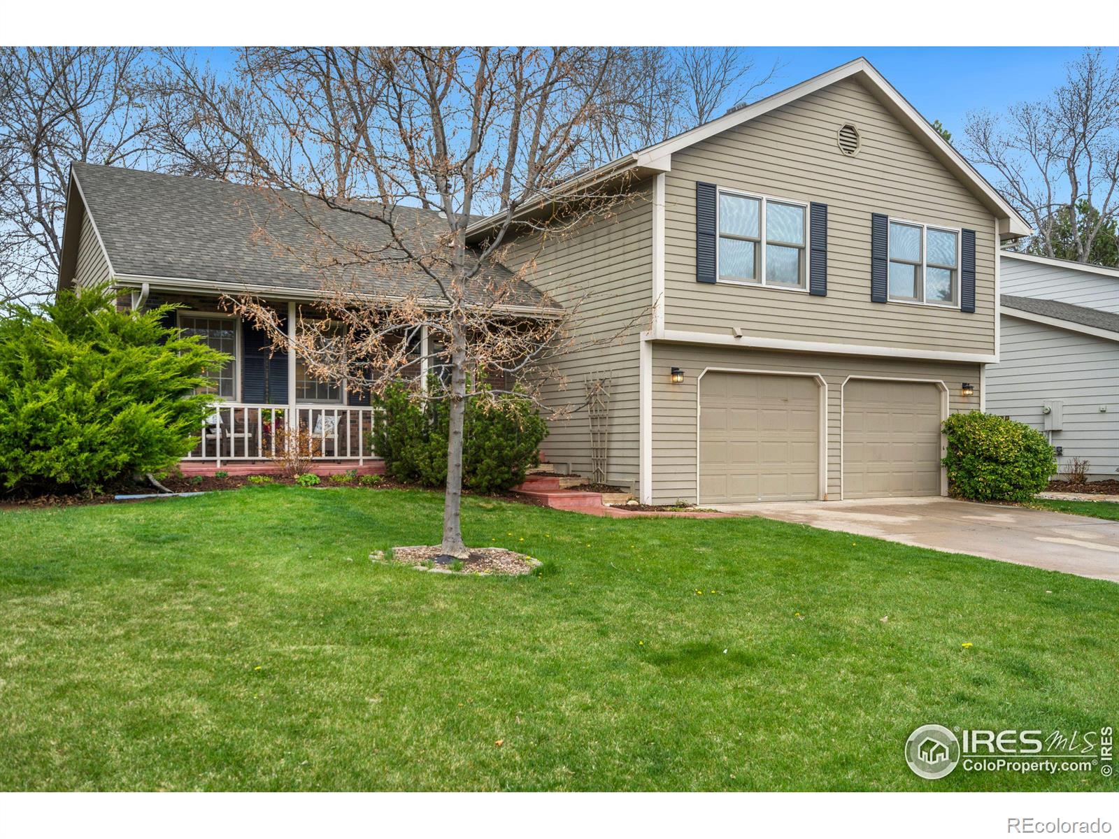 Report Image for 3341  Pineridge Place,Fort Collins, Colorado