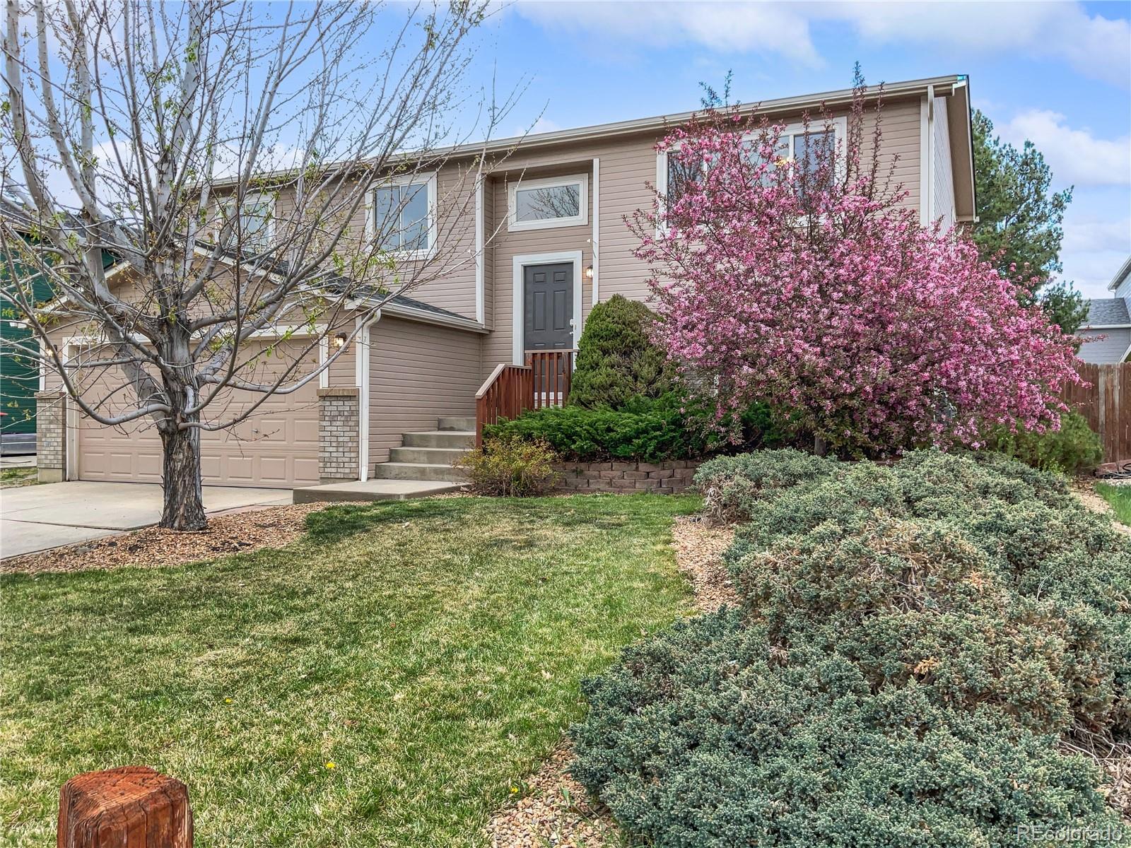 MLS Image #5 for 306  hawthorn street,frederick, Colorado