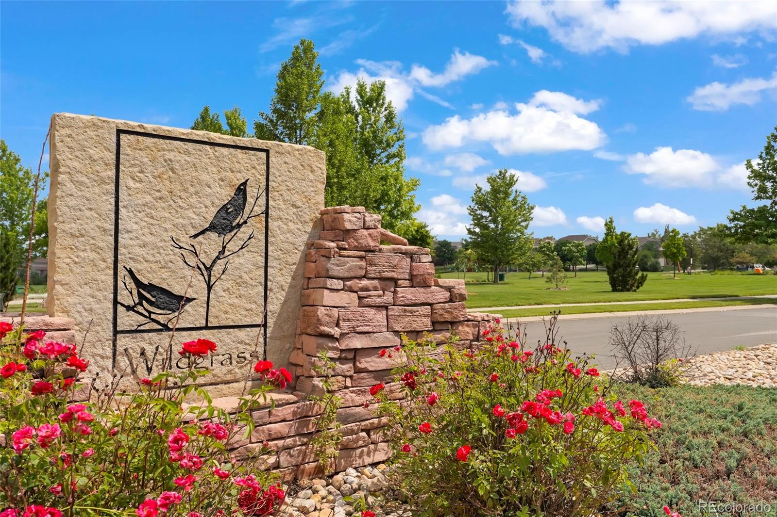 MLS Image #9 for 4450  fireweed trail,broomfield, Colorado