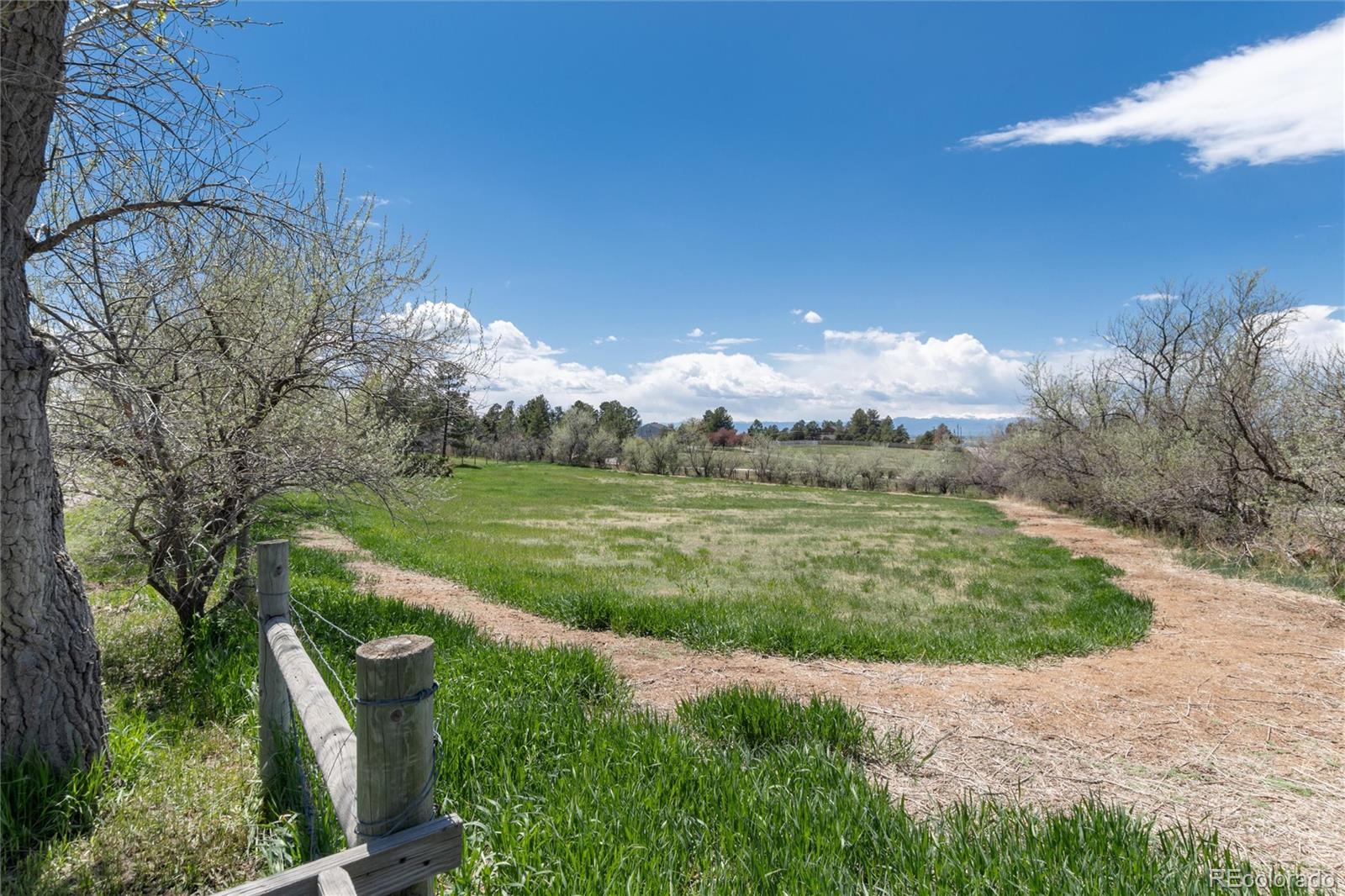 MLS Image #41 for 7728  inspiration drive,parker, Colorado