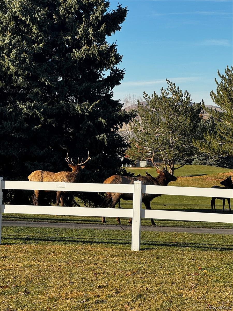 MLS Image #42 for 443  clubhouse court,loveland, Colorado