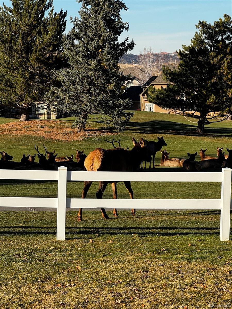 MLS Image #44 for 443  clubhouse court,loveland, Colorado