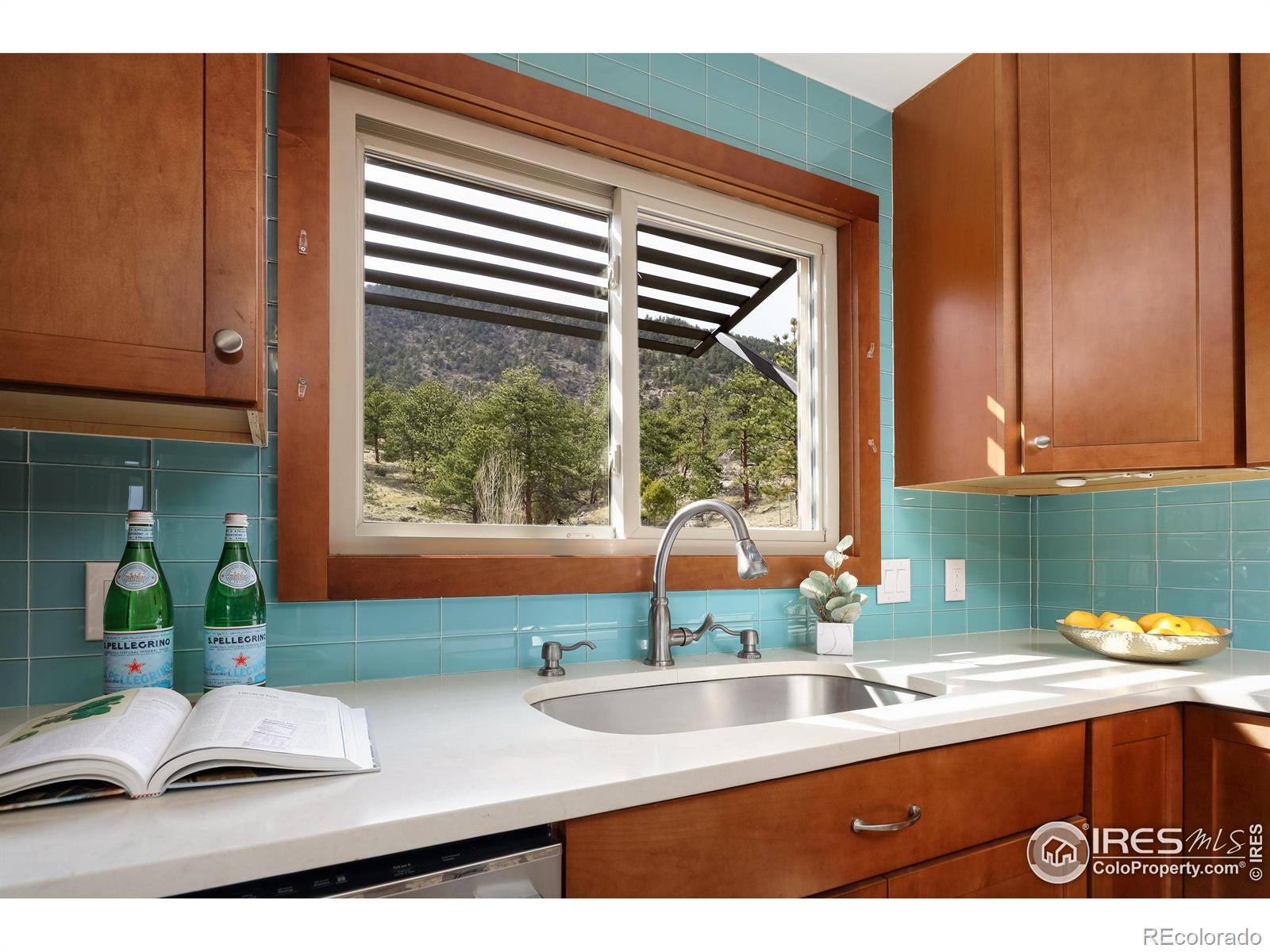 MLS Image #14 for 345  cree court,lyons, Colorado