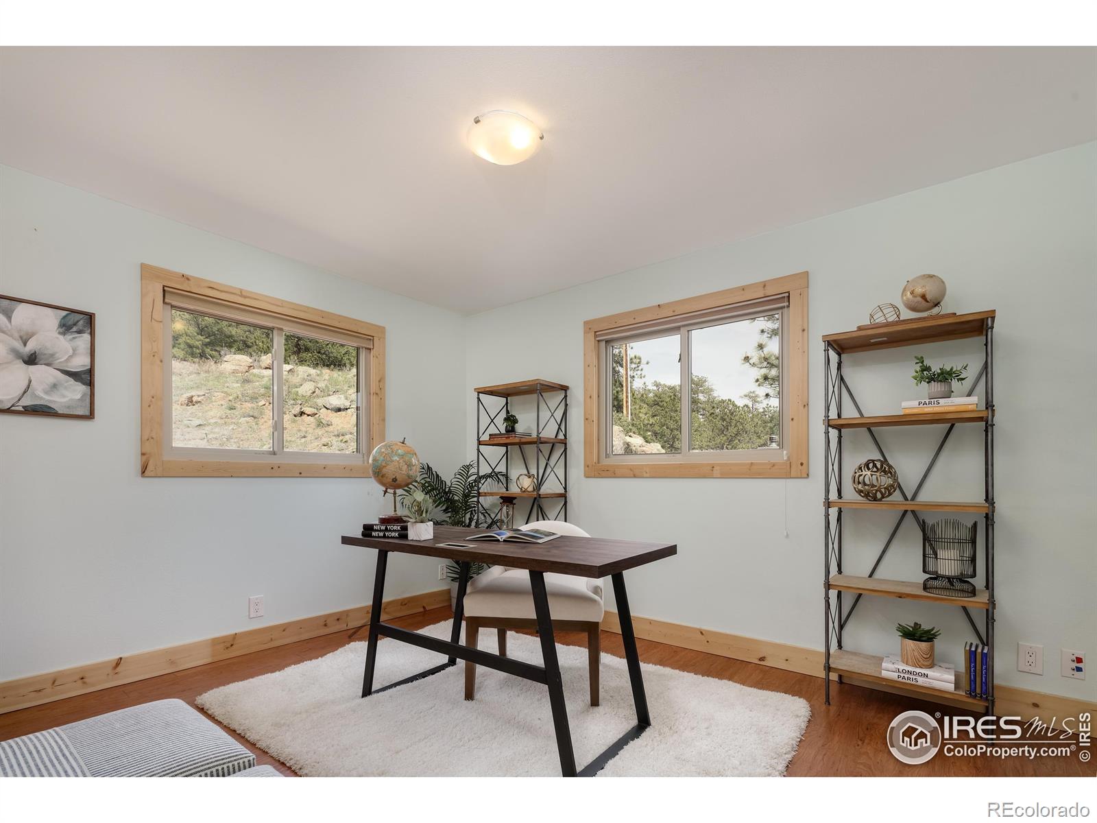 MLS Image #20 for 345  cree court,lyons, Colorado