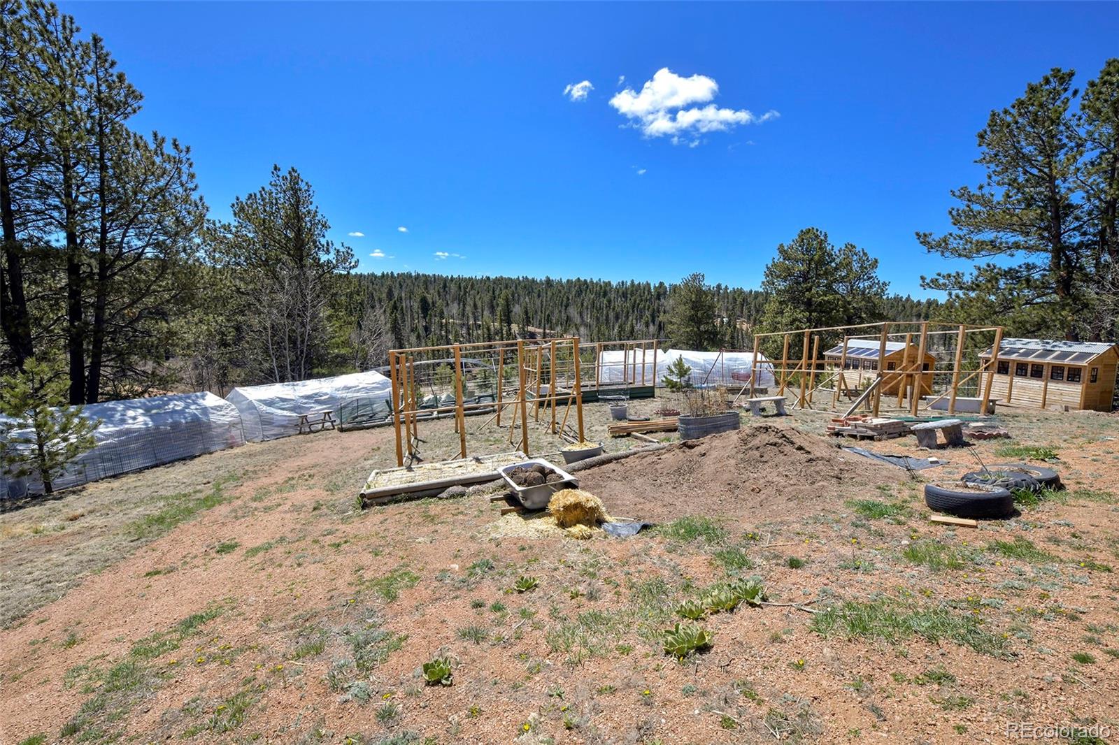 MLS Image #33 for 40  blackhawk creek drive,florissant, Colorado