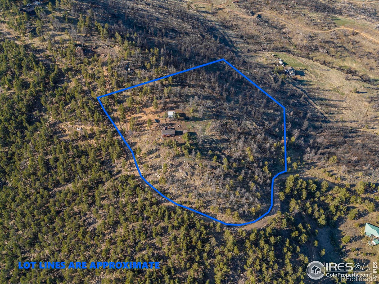 MLS Image #10 for 13382  otter road,loveland, Colorado