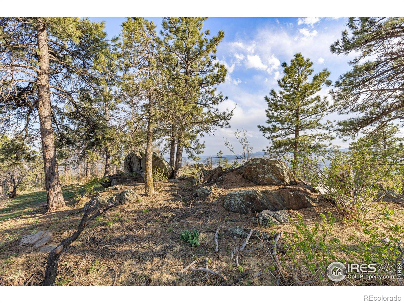 MLS Image #31 for 13382  otter road,loveland, Colorado