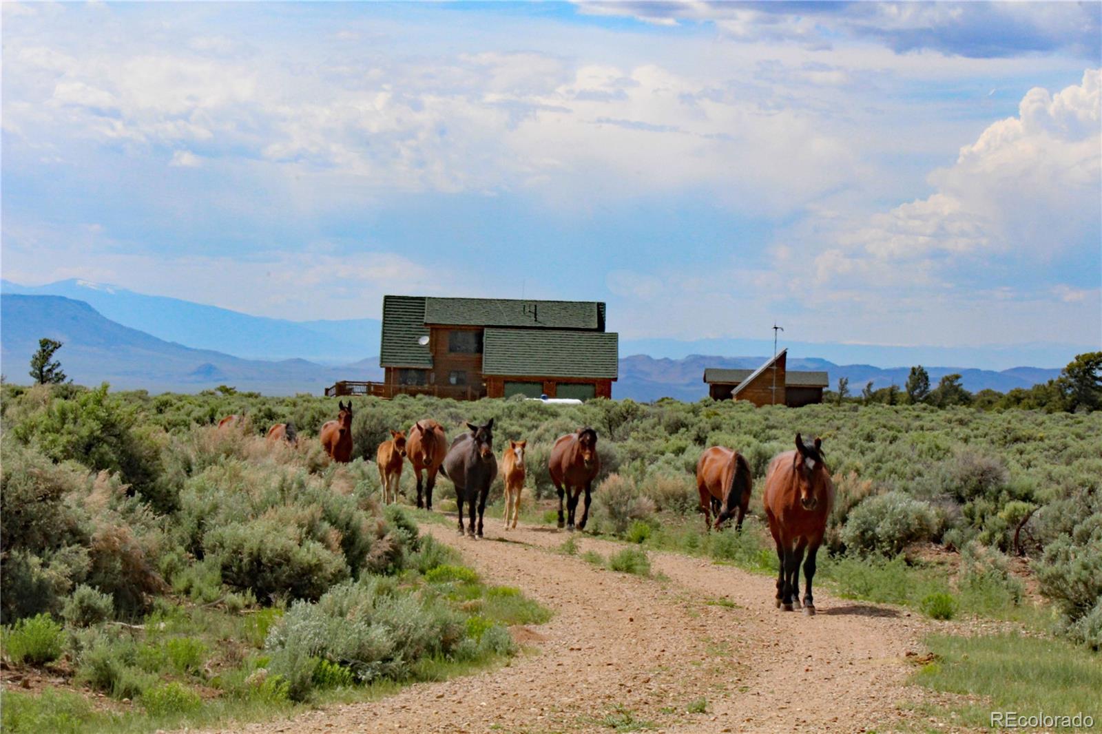 MLS Image #4 for 4643  powder horn road,san luis, Colorado