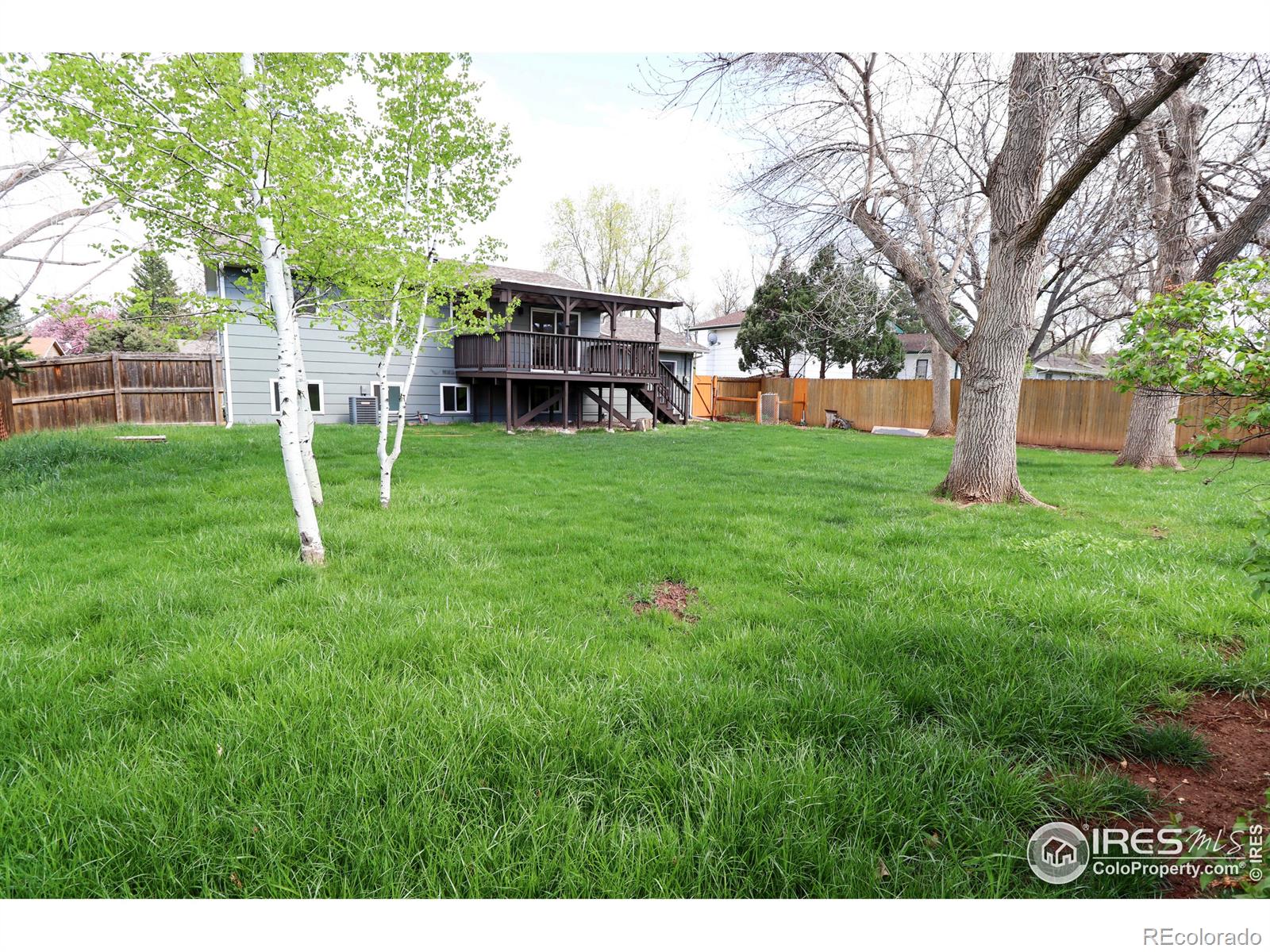 MLS Image #16 for 1305  village lane,fort collins, Colorado