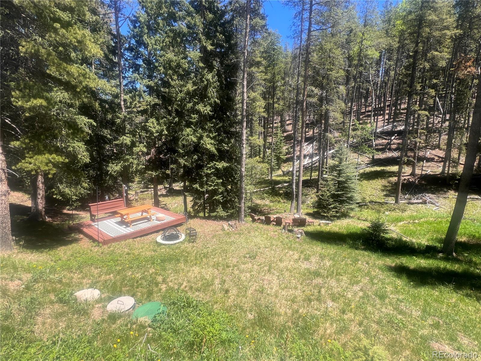 MLS Image #4 for 32696  saint moritz drive,evergreen, Colorado