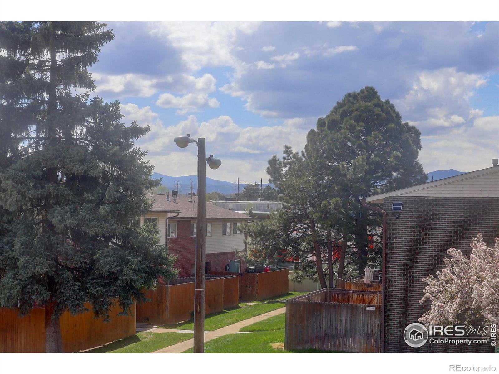 MLS Image #17 for 8051  wolff street,westminster, Colorado