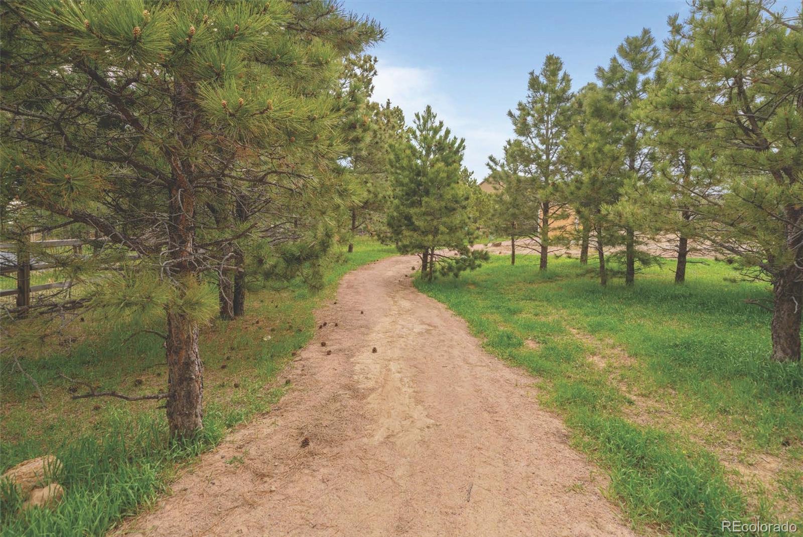 MLS Image #48 for 19884  lindenmere drive,monument, Colorado