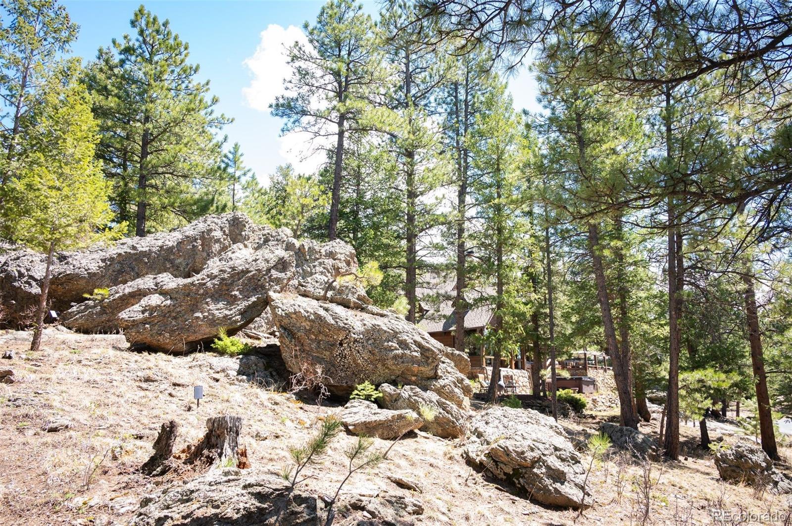 MLS Image #40 for 30240  troutdale scenic drive,evergreen, Colorado