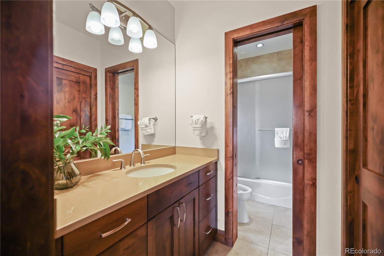 MLS Image #33 for 83  lomax drive,breckenridge, Colorado