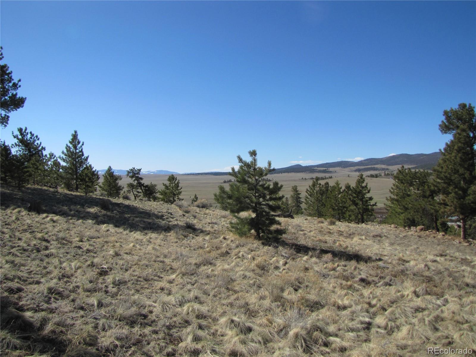 MLS Image #37 for 156  ladigo lane,hartsel, Colorado