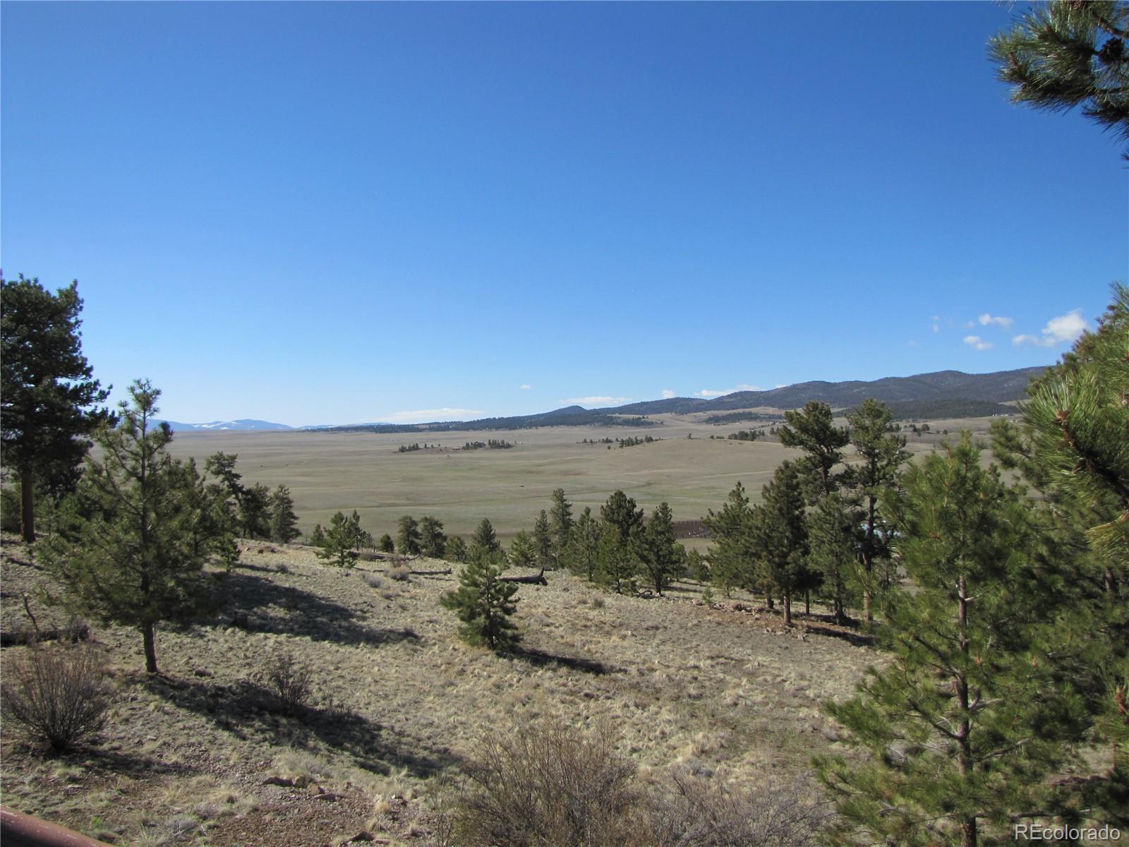 MLS Image #39 for 156  ladigo lane,hartsel, Colorado