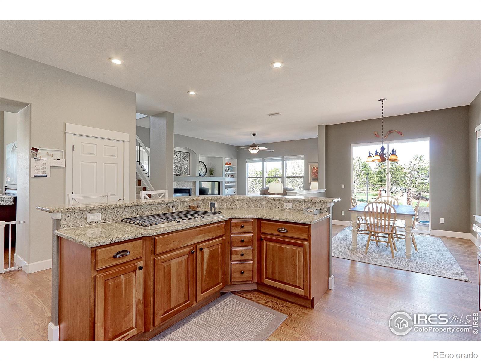 MLS Image #10 for 5375  lenox court,castle rock, Colorado