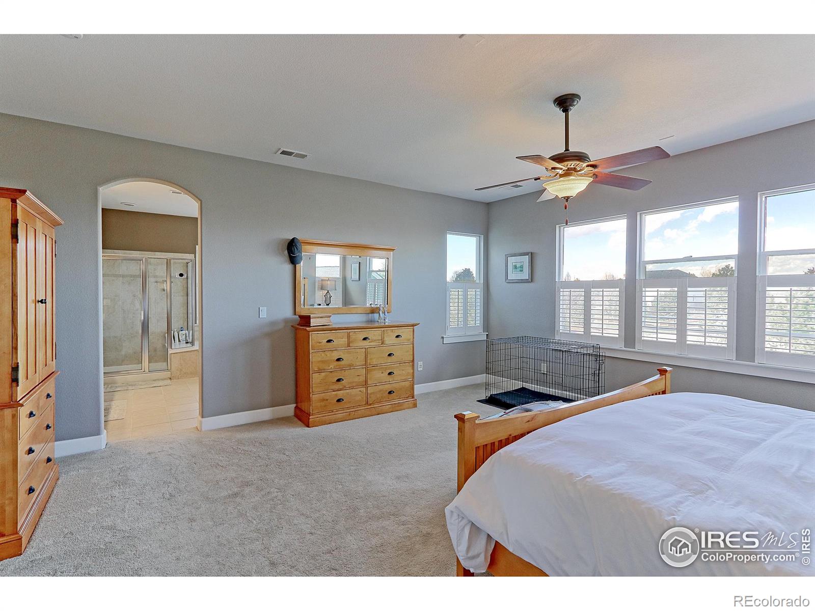 MLS Image #19 for 5375  lenox court,castle rock, Colorado