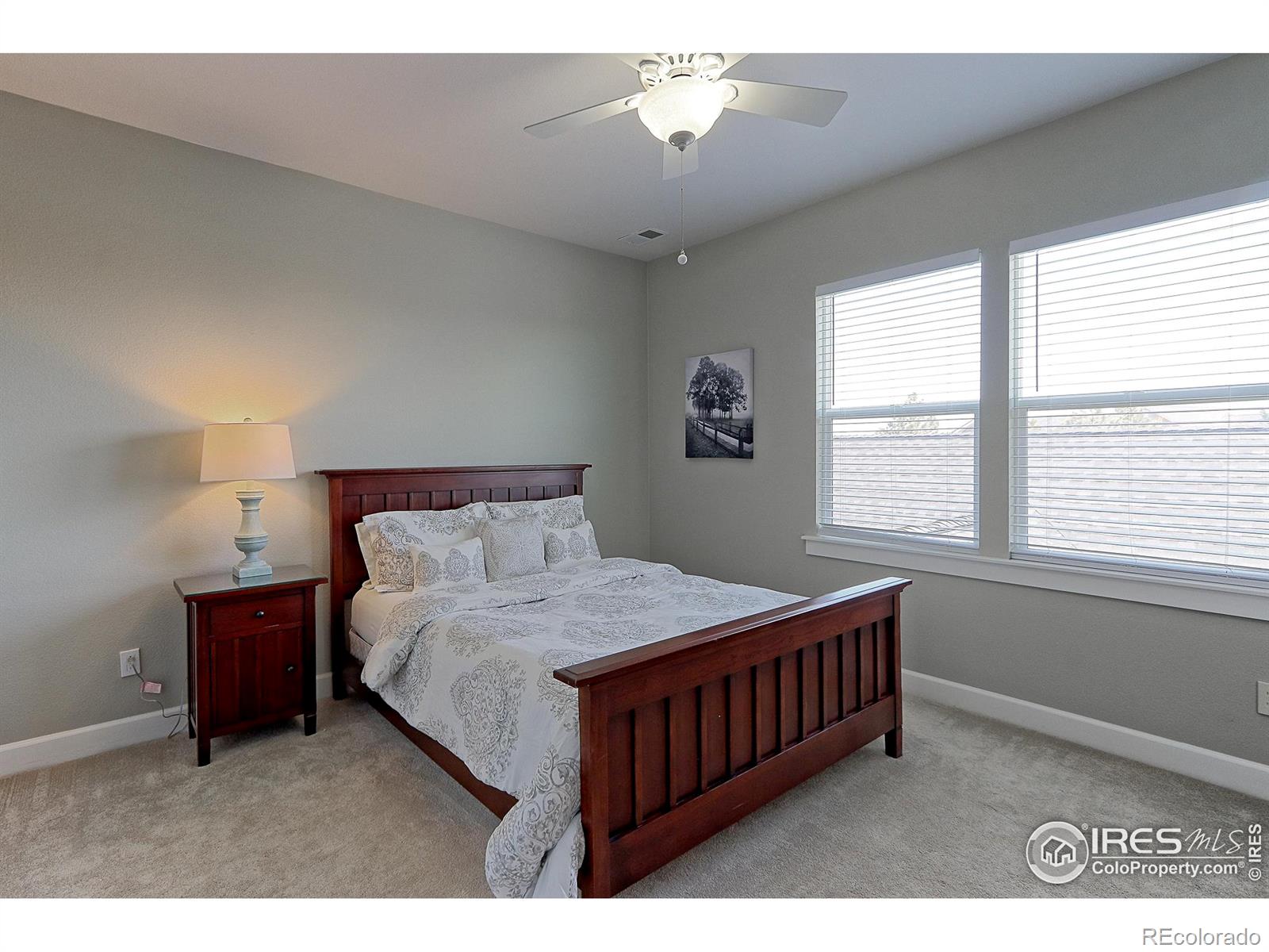 MLS Image #25 for 5375  lenox court,castle rock, Colorado