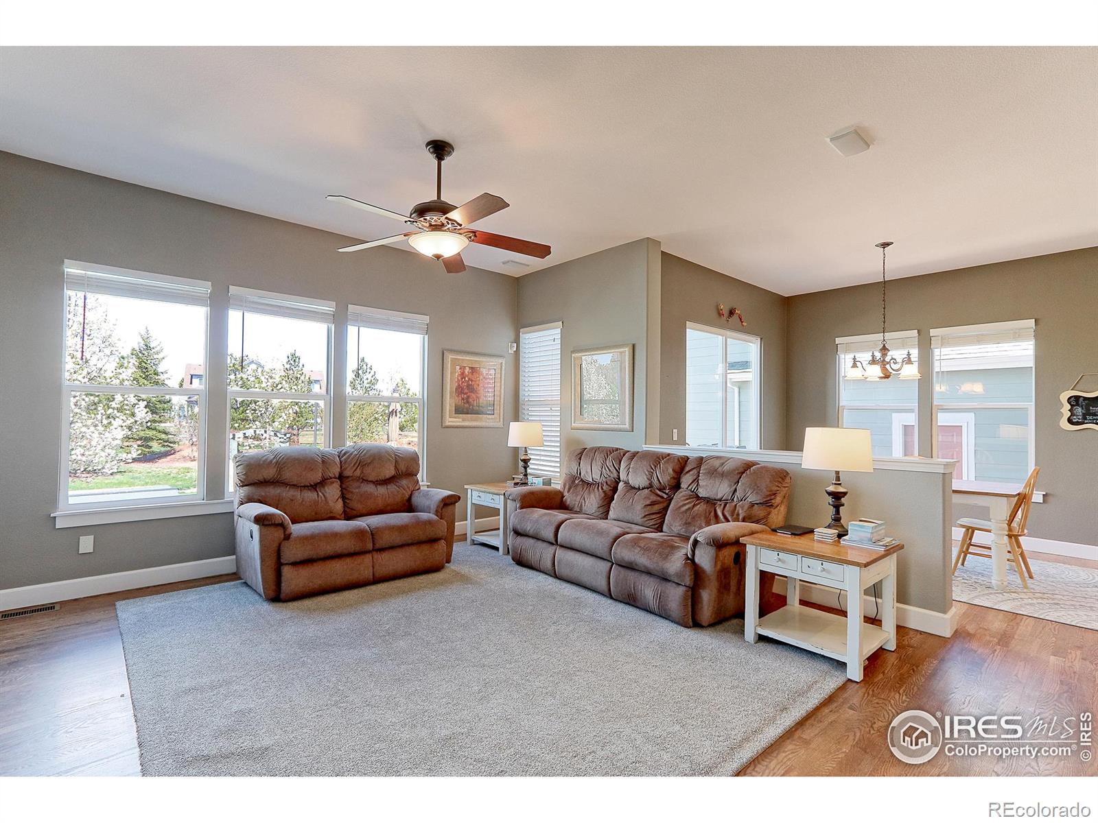 MLS Image #7 for 5375  lenox court,castle rock, Colorado