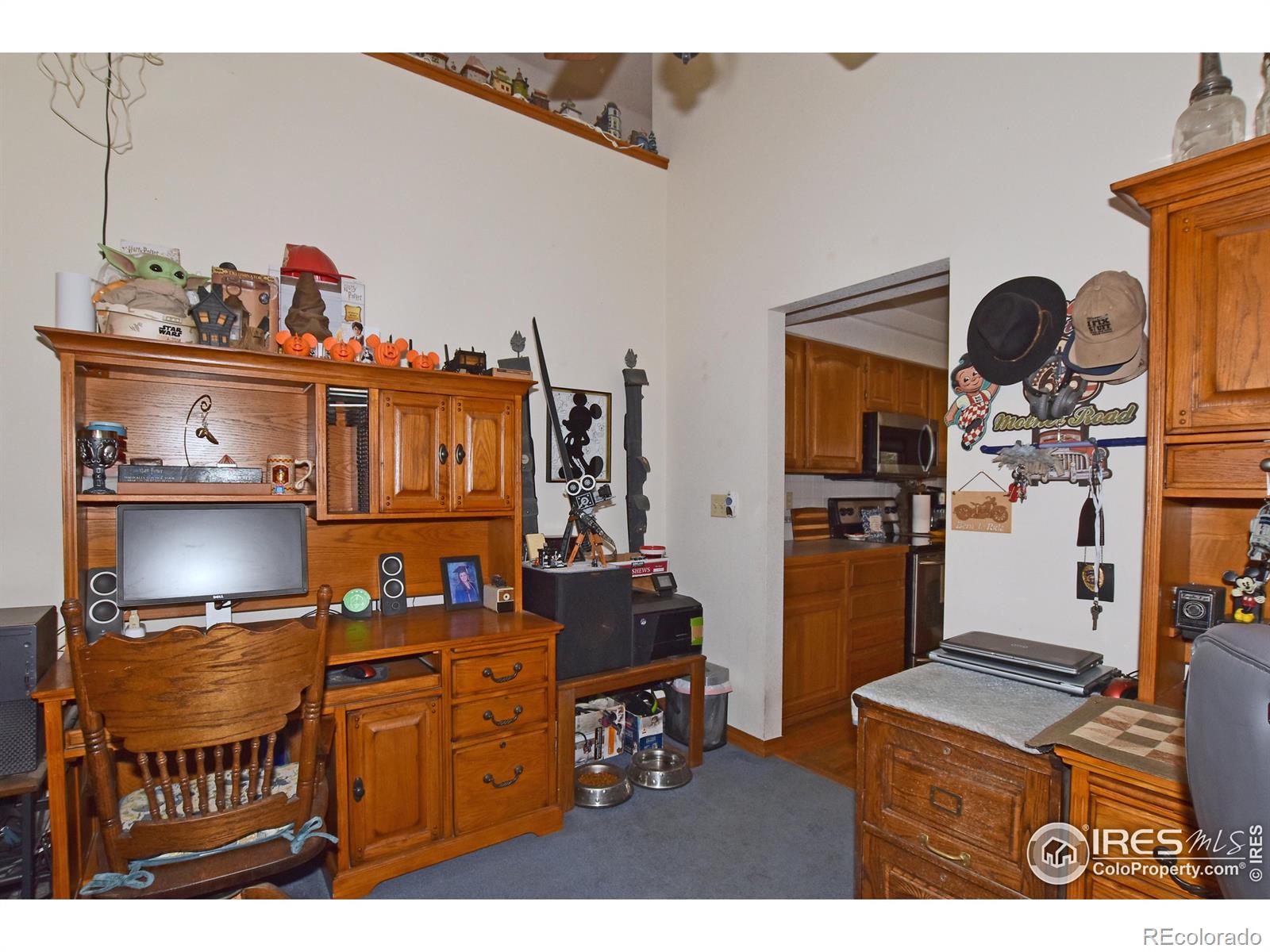 MLS Image #14 for 3032  indigo court,fort collins, Colorado