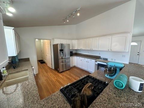 MLS Image #12 for 178  larissa lane,buena vista, Colorado