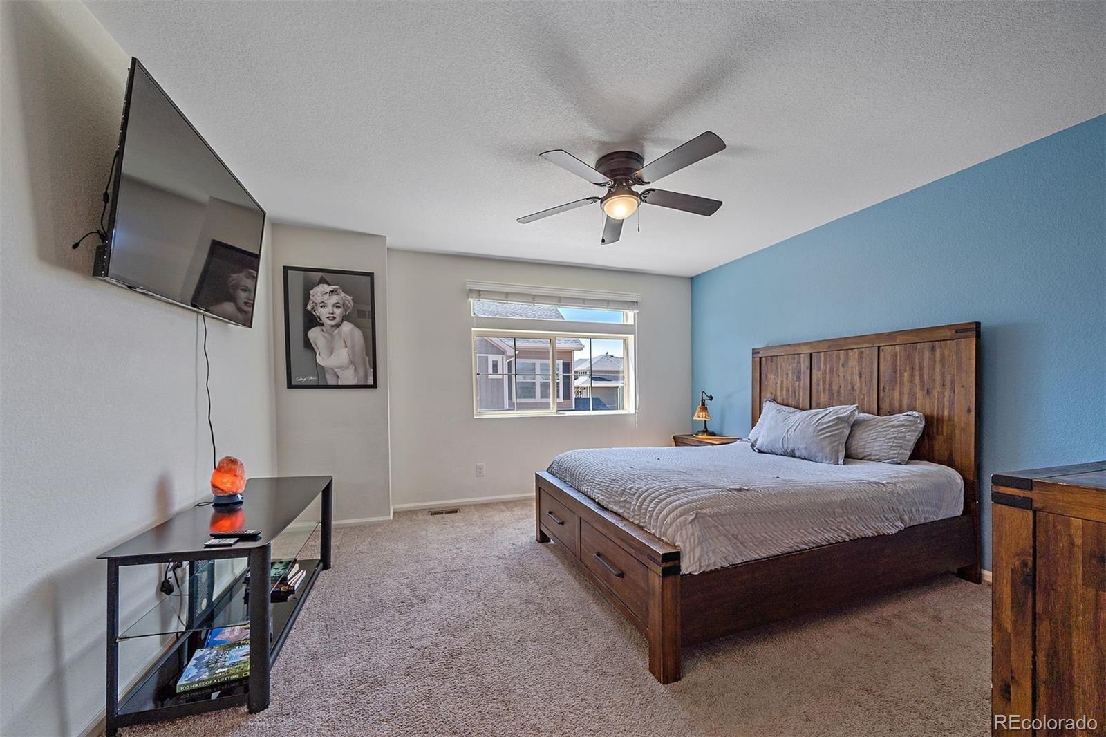 MLS Image #16 for 18182 e 104th way,commerce city, Colorado