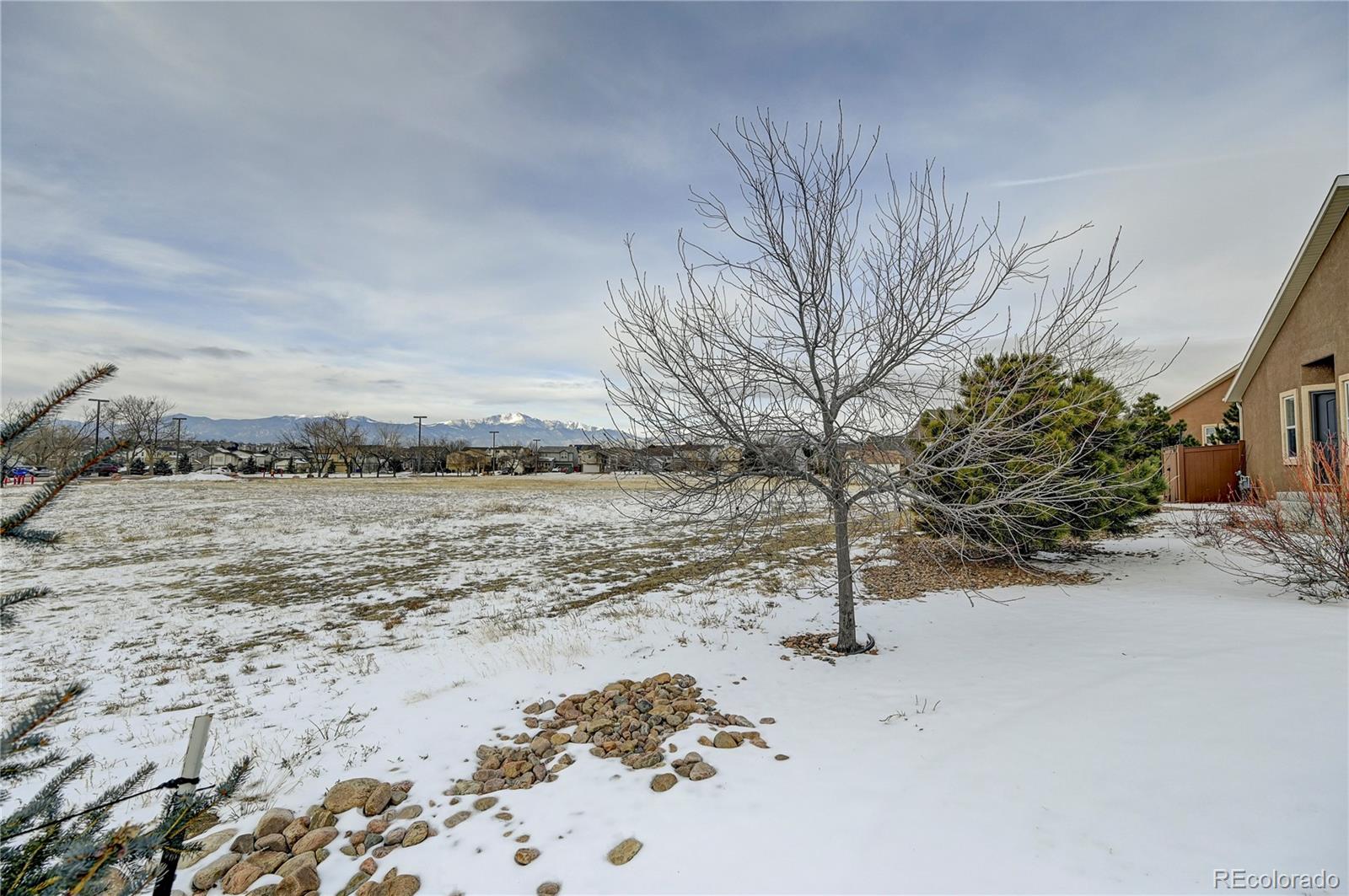 MLS Image #2 for 6614  oak trunk point,colorado springs, Colorado