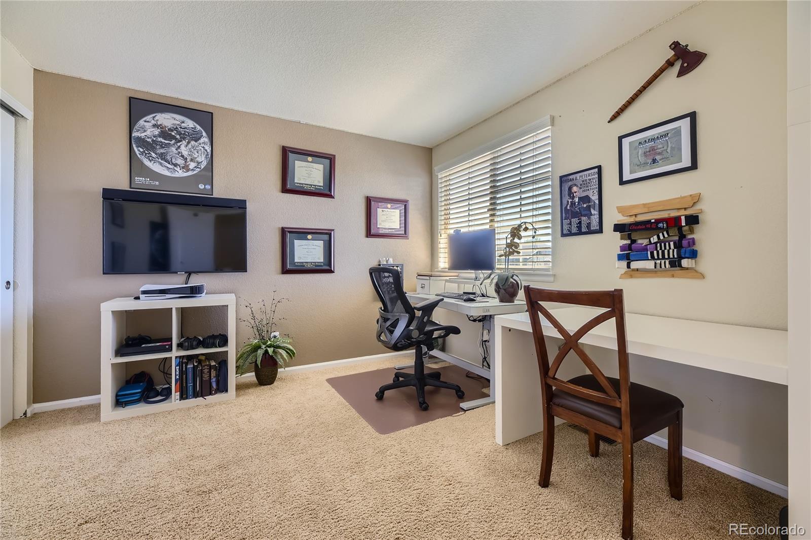 MLS Image #19 for 7619  bison court,littleton, Colorado