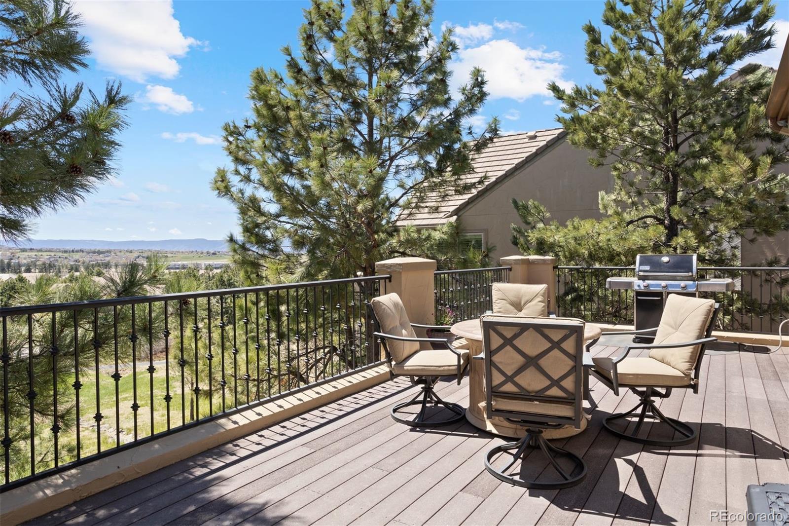 MLS Image #42 for 5297  richmond hill court,castle rock, Colorado