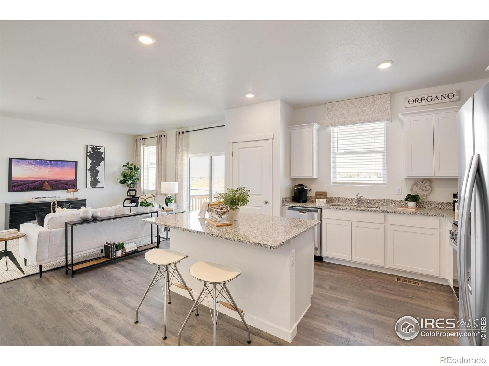 MLS Image #11 for 221  haymaker lane,severance, Colorado