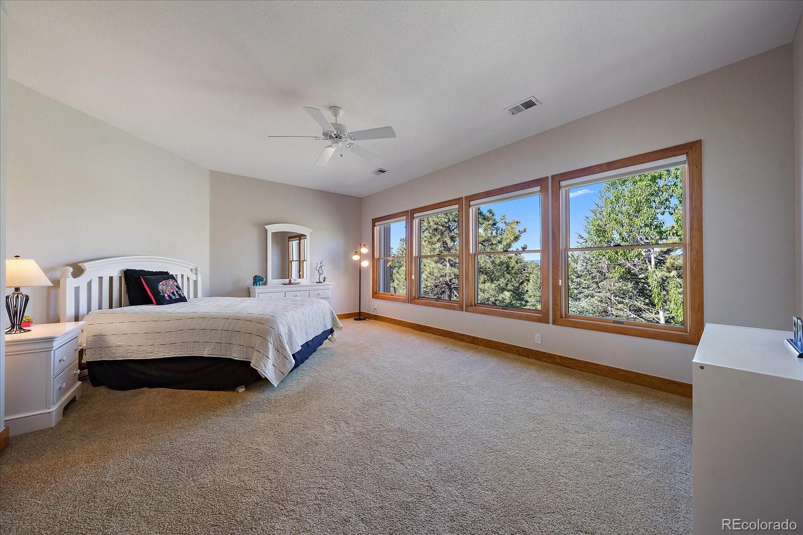 MLS Image #29 for 922  parkcliff lane,castle pines, Colorado