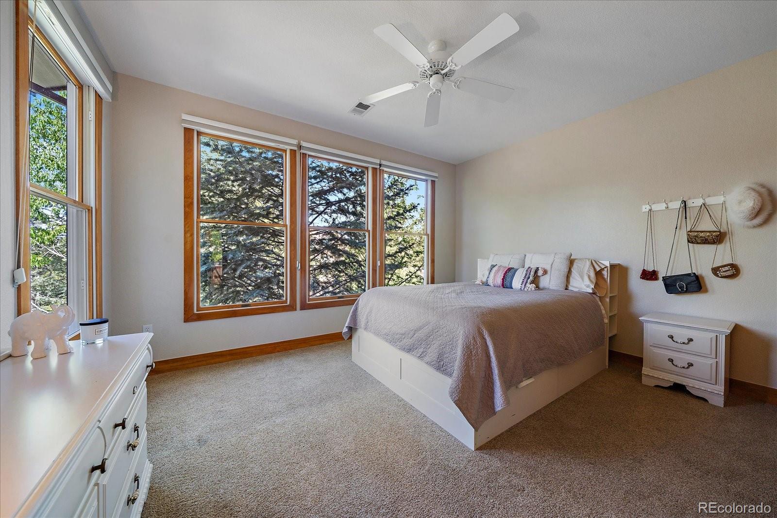 MLS Image #31 for 922  parkcliff lane,castle pines, Colorado