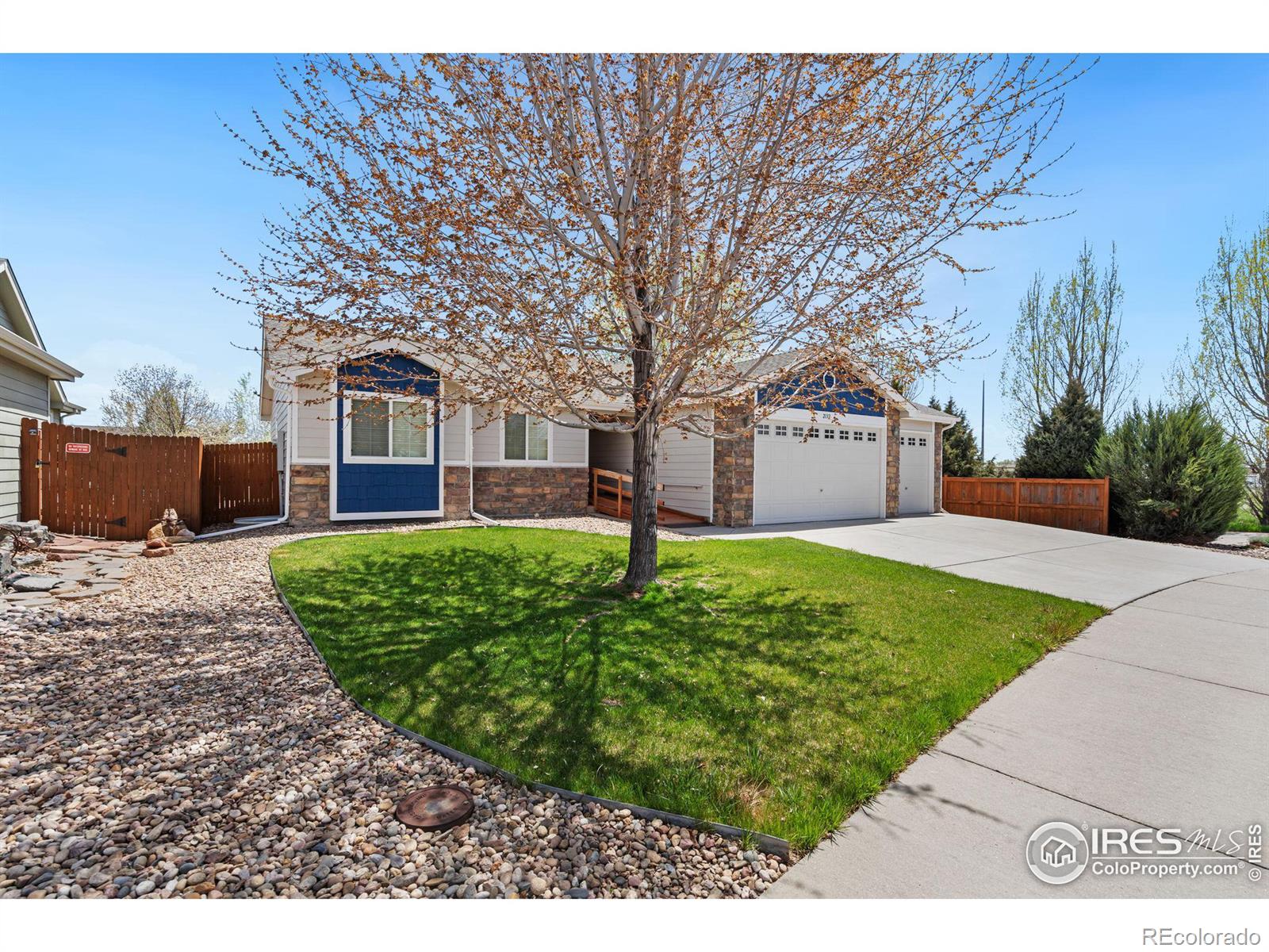 CMA Image for 2132  virgo circle,Loveland, Colorado