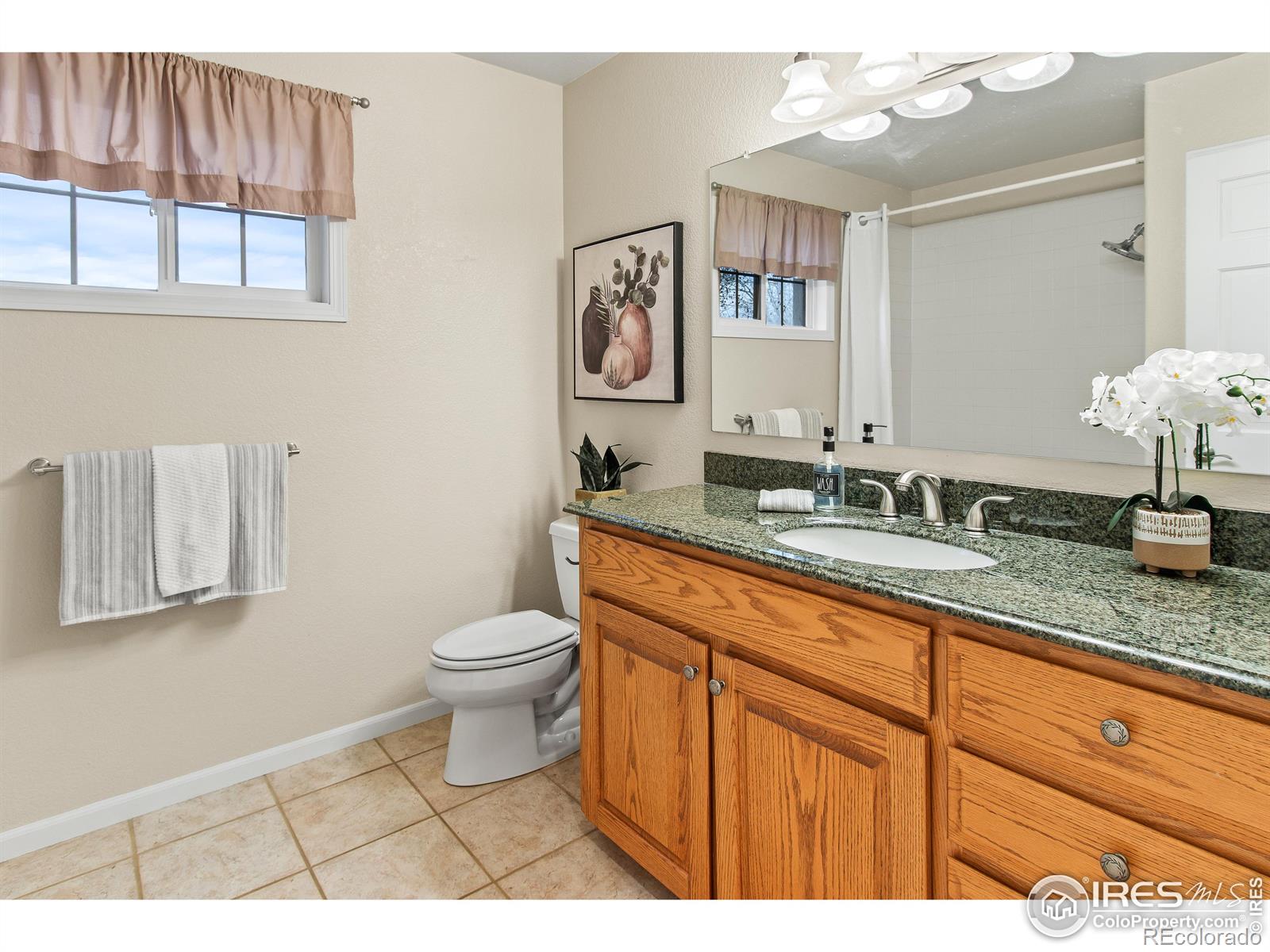 MLS Image #26 for 535  marcellina drive,loveland, Colorado