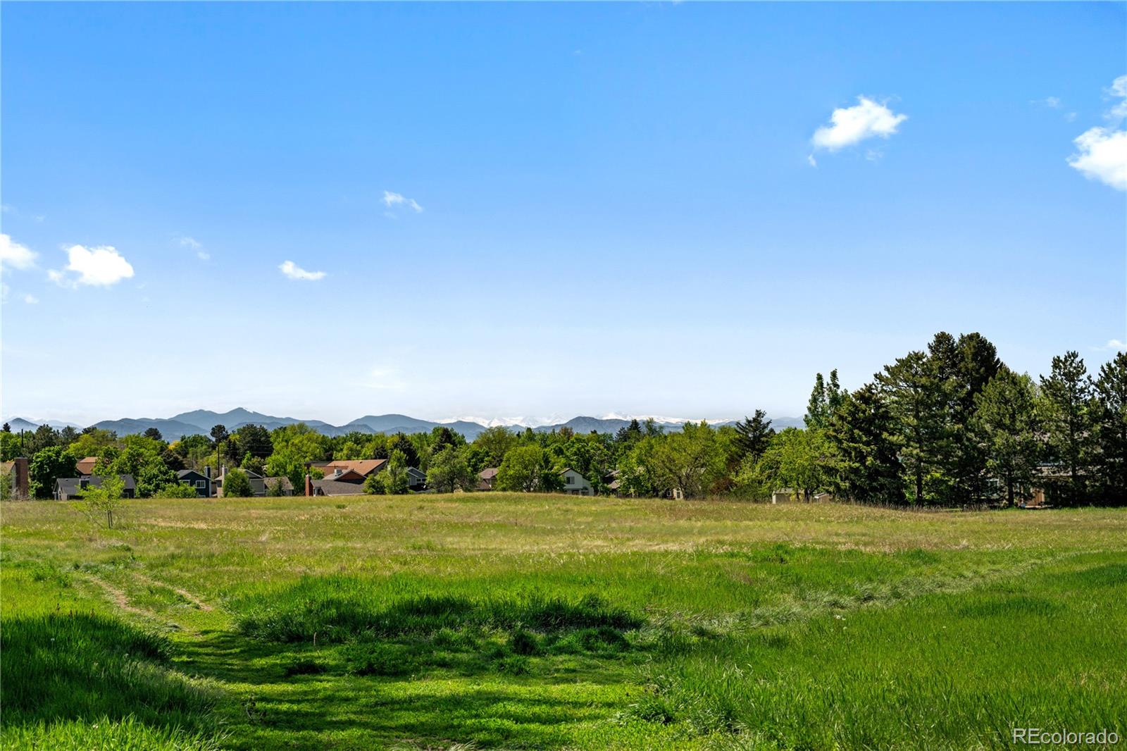 MLS Image #6 for 7953 s clayton circle,centennial, Colorado