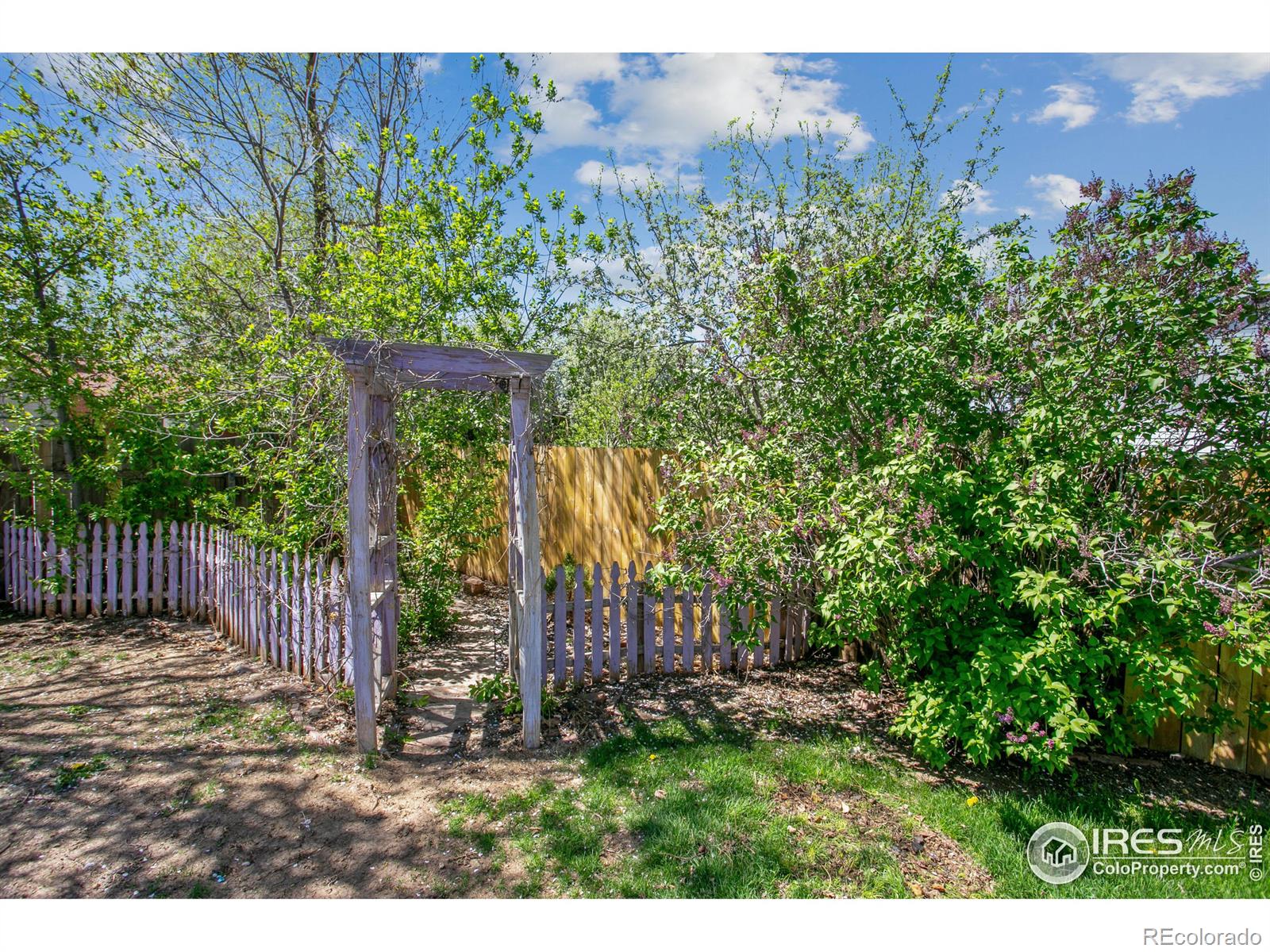 MLS Image #35 for 2605 e redbud drive,loveland, Colorado