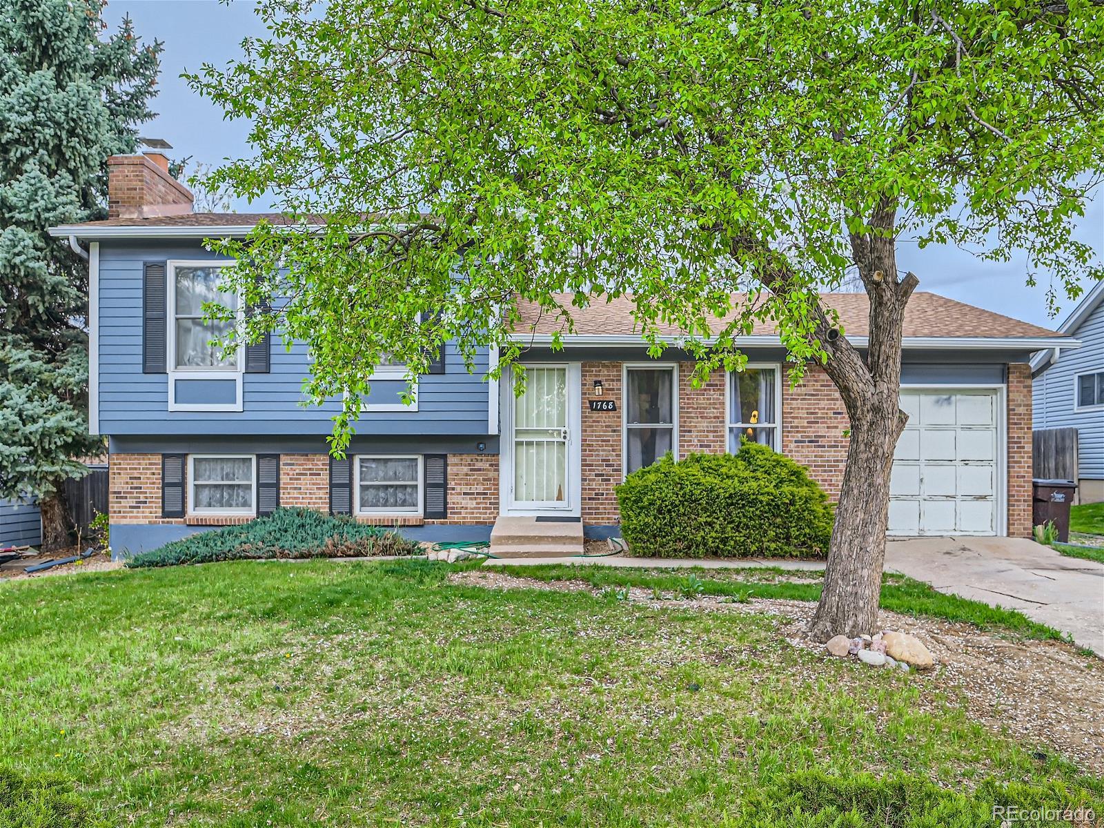 MLS Image #2 for 1768  cedar street,broomfield, Colorado