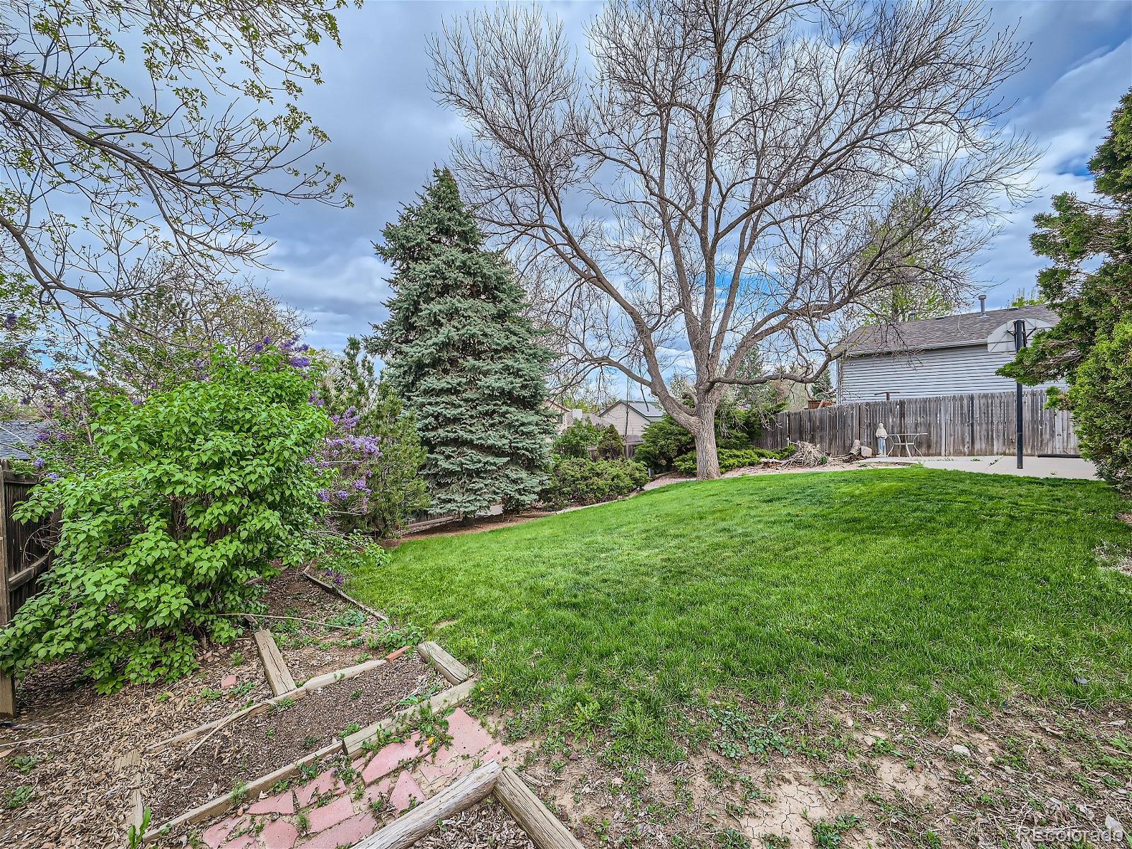 MLS Image #24 for 1768  cedar street,broomfield, Colorado