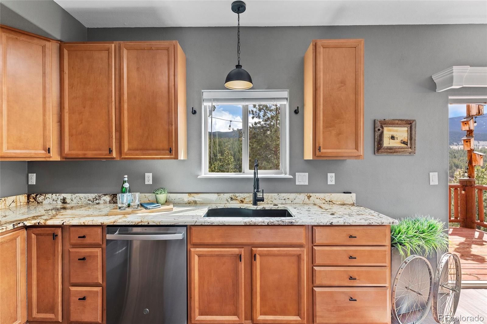 MLS Image #11 for 305  virginia road,bailey, Colorado