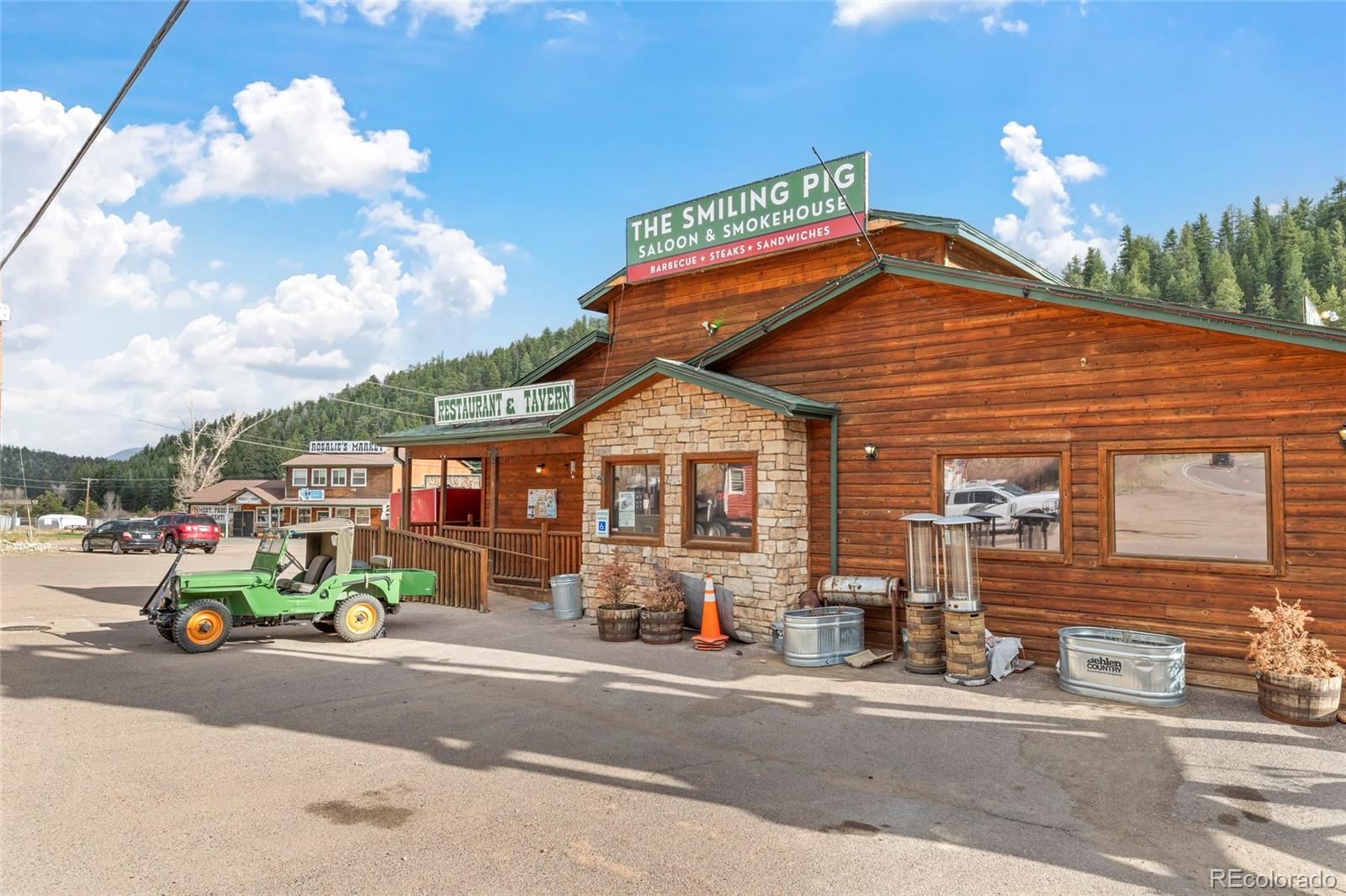 MLS Image #46 for 305  virginia road,bailey, Colorado