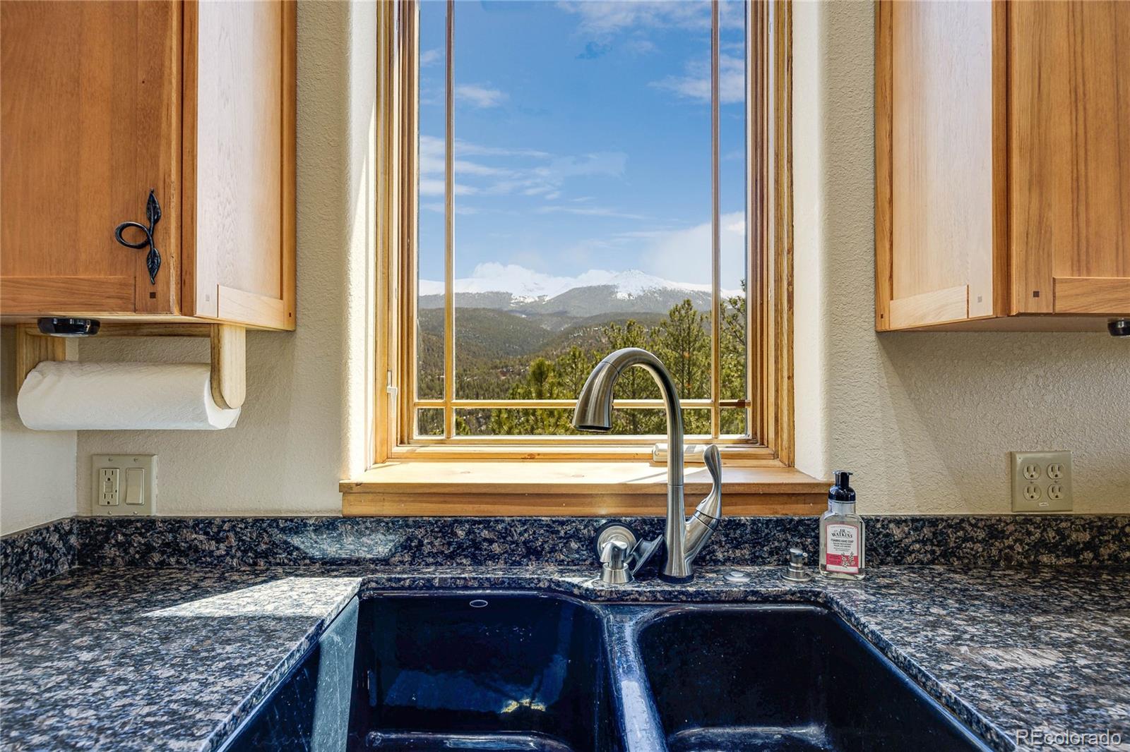 MLS Image #12 for 239  wildlife point,divide, Colorado