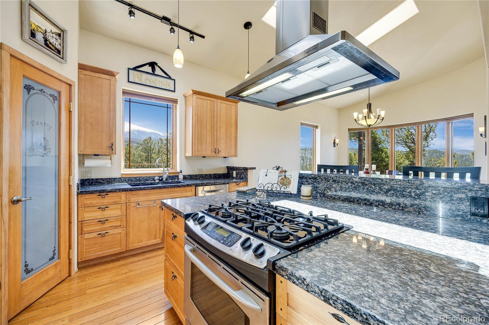 MLS Image #13 for 239  wildlife point,divide, Colorado